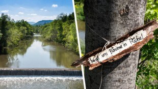 Schatten ist wichtig für die Fische in der Schwarza und auch, um Wasserverdunstung zu ...