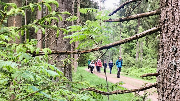 Vom Böhmerwald nach Oberösterreich.