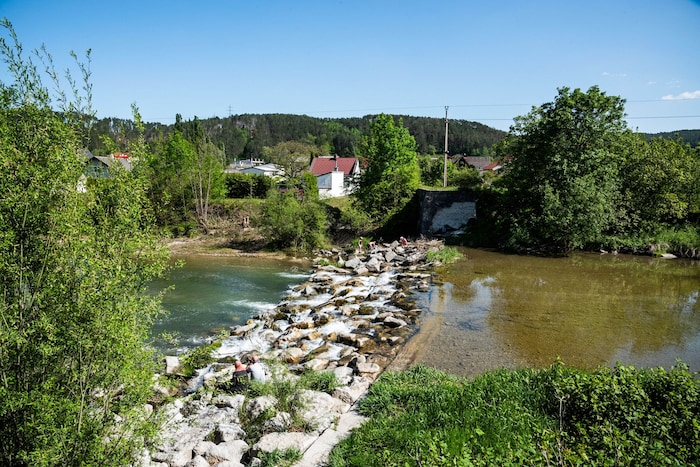 Die Schwarza ist mit ihrem glasklaren Wasser ein Erholungsgebiet für viele Menschen und auch Lebensraum für Fische und Vögel. 