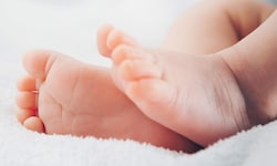 Geschichten, die nur das Leben schreibt. Vier Kinder von drei Brüdern –an nur einem Tag. 