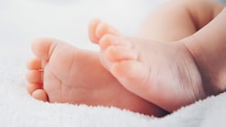 Geschichten, die nur das Leben schreibt. Vier Kinder von drei Brüdern –an nur einem Tag. 