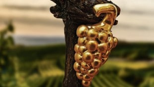 Jetzt geht es in neun Kategorien um die Rot-Goldene Traube.