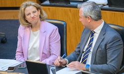 Beate Meinl-Reisinger und Norbert Hofer hatten im Parlament ihre Sitzplätze nebeneinander. Über ...