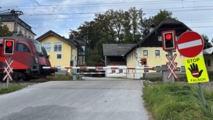 Die Entscheidung zur Zipfwirt-Kreuzung wird bald erwartet.