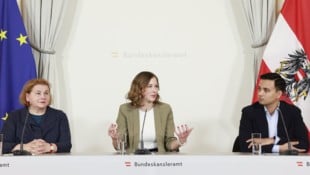 Schumann (links) sprach von einem notwendigen A2-Deutschniveau. Vorgesehen, oder vorgeschrieben ist das allerdings nicht, wie Plakolm klarstellt. (Bild: APA/REGINA AIGNER)