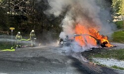 Ein technischer Defekt dürfte das Feuer ausgelöst haben.