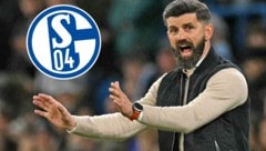 Miron Muslic dirigiert ab sofort in Gelsenkirchen.