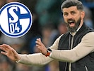 Miron Muslic dirigiert ab sofort in Gelsenkirchen.