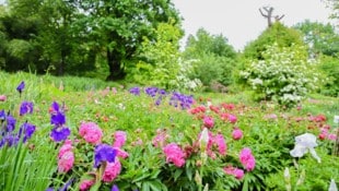 Die Familie Mattuschka hat einen Paradiesgarten errichtet. 