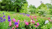 Die Familie Mattuschka hat einen Paradiesgarten errichtet. 