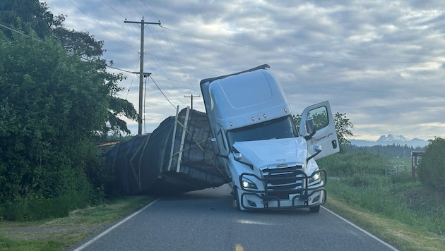 Vorsicht, Stiche! In den USA sind nach einem LKW-Unfall 250 Millionen Bienen freigekommen. Die Bevölkerung wurde aufgerufen, das betroffene Gebiet zu umgehen..