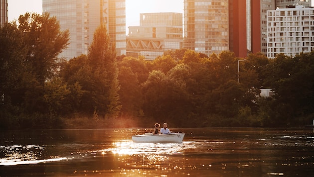 Gerade in der Stadt werden Naturgewässer wie die Alte Donau als „harmlos“ betrachtet. Ein ...