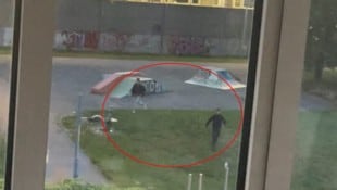 (Bild: Leserreporter, Krone KREATIV)
