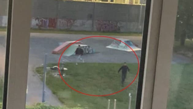 (Bild: Leserreporter, Krone KREATIV)