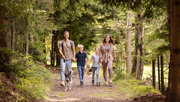 Gemeinsam glücklich den Vatertag verbringen: In Niederösterreich locken Natur, Kulinarik und einzigartige Erlebnisse. 