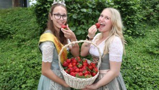 Echt beerig! Lara übernahm die Krone von Königin Elisa.