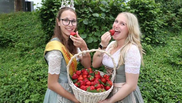 Echt beerig! Lara übernahm die Krone von Königin Elisa.