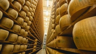 Parmigiano Reggiano ist eine der härtesten Käsearten und ist nach der Stadt Parma in der Emilia-Romagna benannt. (Bild: COLOMBOAUGUSTO)