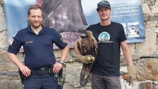 Der Adler wurde an Tier-Experten der Adlerarena Landskron übergeben. 