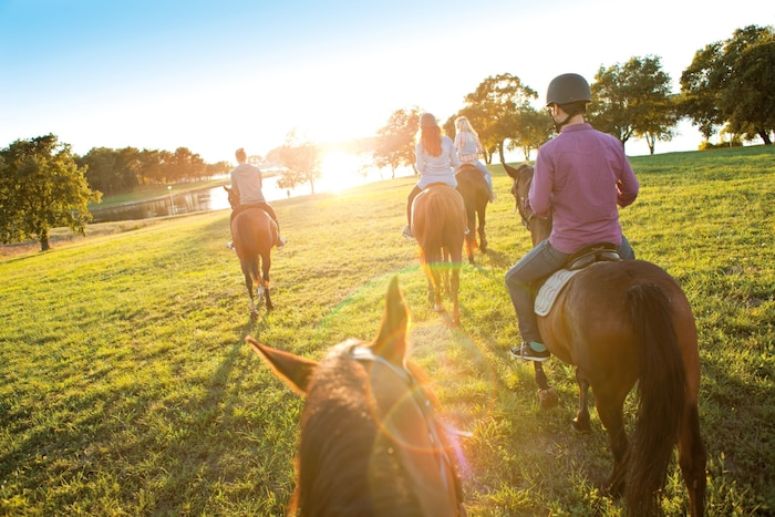 Reiten