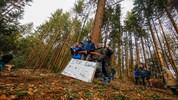 Am 13. Jänner 2020 starteten die Proteste im Wald von Bad Vigaun.