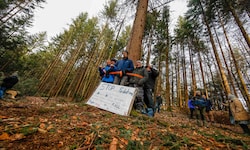 Am 13. Jänner 2020 starteten die Proteste im Wald von Bad Vigaun.