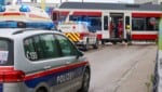 Die Verletzungen des Buben waren derart schwer, dass er noch an der Unfallstelle starb. (Bild: Matthias Lauber/laumat.at)