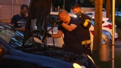 Ein Feuerwehrmann holte die Schlange aus dem Motorraum.