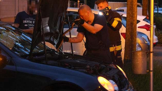 Ein Feuerwehrmann holte die Schlange aus dem Motorraum.