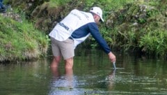 Steve Waltman ist ein kerniger Naturbursche. Hier suchte er bei den Austrian Alpine Open, bei ...