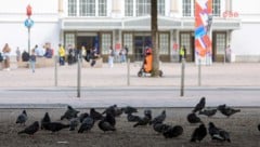 Am Bahnhofsvorplatz kontrollierten Fremdenpolizisten einen Verdächtigen.