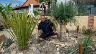 Hans-Peter Halasz in seinem Wüstengarten. 111 Pflanzen sitzen hier mittlerweile und sind sehr ...