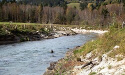 Im Unterlauf der Enns wurde der Hochwasserschutz schon vor eineinhalb Jahren verbessert.