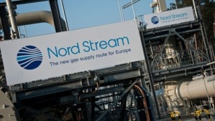 Die umstrittene Ostsee-Pipeline Nord Stream (Bild: AFP/JOHN MACDOUGALL)