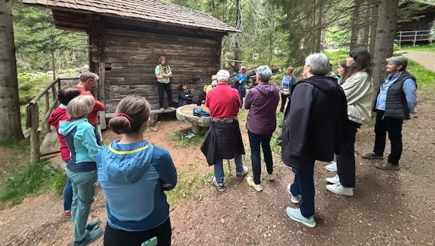 In Kals gingen die Vorlesepatinnen mit den Teilnehmern in den Wald.