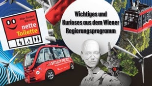 (Bild: Krone KREATIV)