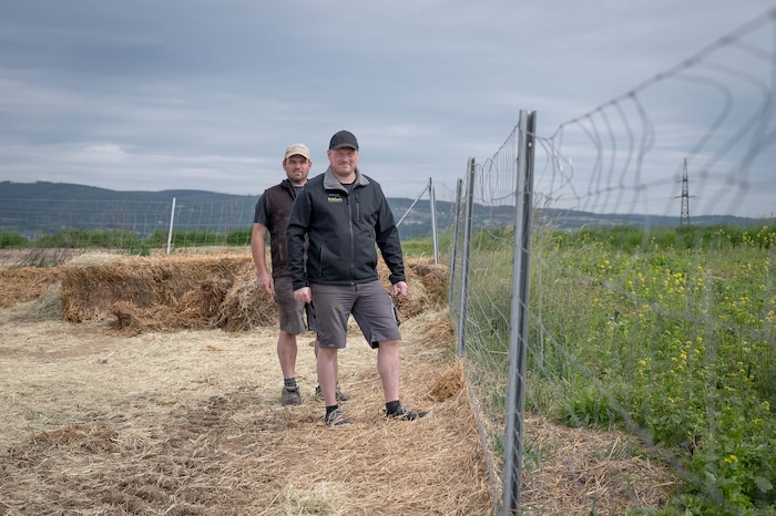 Schweineglück ist Bauernglück – ihr sicherlich gut gemeinter „Sauwohl“- Ansatz bringt Vater und Sohn Hubmann in die Bredouille. Ein Räumungsbescheid für den Betrieb steht jedenfalls im Raum.