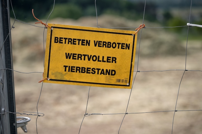 Mit Räumung wird gedroht.