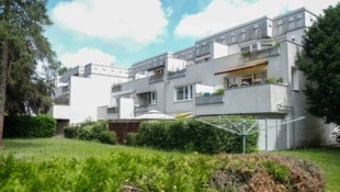 Im Zuge von Sanierungen müssen in der Linzer Hallestraße rund 70 liebevoll gepflegte Gärten der Mieter beseitigt und neu errichtet werden. (Bild: Horst Einöder/Flashpictures)
