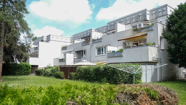 Im Zuge von Sanierungen müssen in der Linzer Hallestraße rund 70 liebevoll gepflegte Gärten der Mieter beseitigt und neu errichtet werden. 