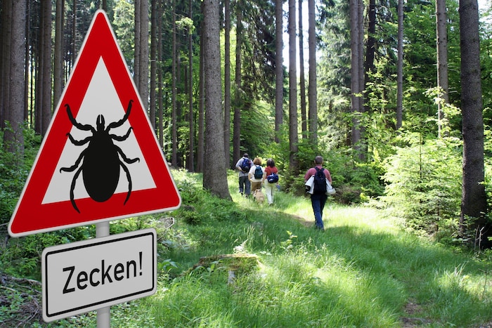 Zecken sind mittlerweile schon fast das ganze Jahr lang aktiv, ihre Bisse können schwere Krankheiten auslösen.