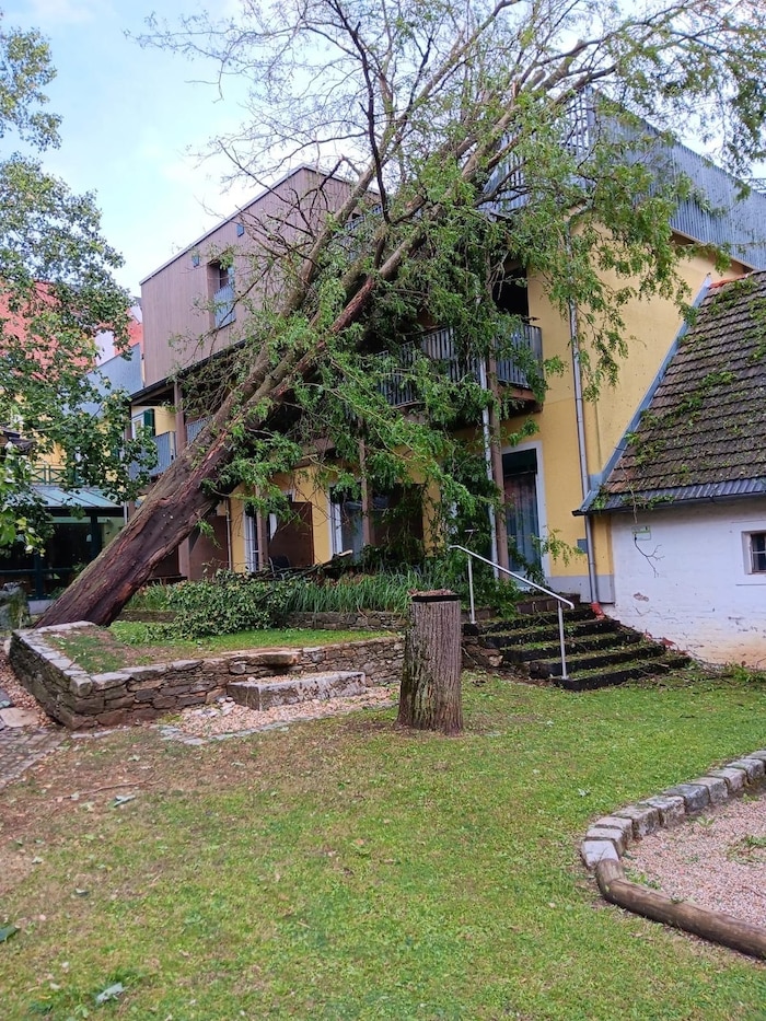 Umgestürzter Baum bei Hotel in Hagensdorf.