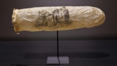 Dieses Kondom ist derzeit im Rijksmuseum in Amsterdam zu sehen. Es stammt wohl aus einem Bordell ...