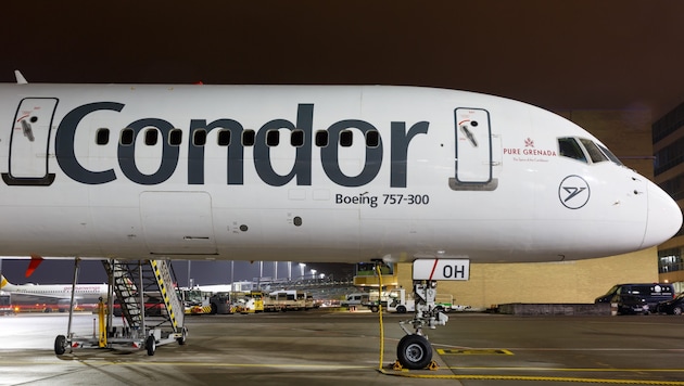 228 Menschen haben jetzt einen wahren Albtraum auf dem Flug von Mallorca nach München erlebt. Sie kamen erst mit zwölf Stunden Verspätung an (Symbolbild).