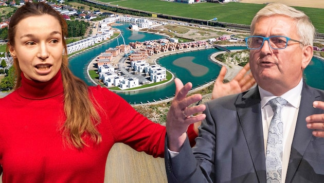 Bei Junos-Chefin Sophie Wotschke flatterte im April eine Klage des ÖVP-Bürgermeisters Alfred Riedl herein.