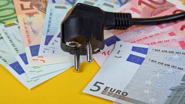 Die Pensionistin kann sich den Strom für ihren angeblichen Verbrauch nicht leisten.