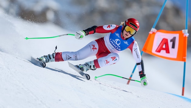 Elisabeth Reisinger hört auf.