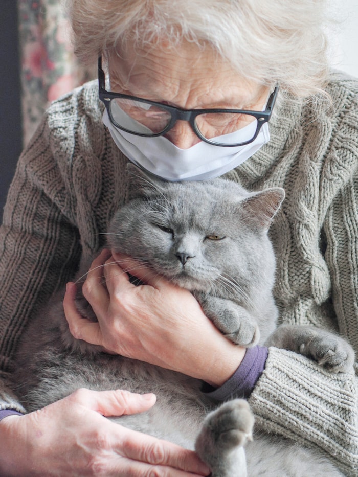 Nicht jeder Palliativpatient ist noch in der Lage, selbstständig die Nachsorge für sein Tier zu ...