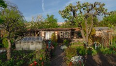 Der Vorfall ereignete sich in einer Kleingartenanlage. (Symbolbild)