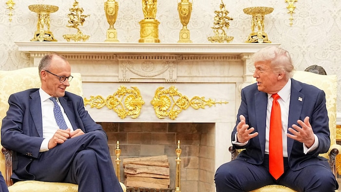 Merz und Trump bei ihrem Treffen im Oval Office im Weißen Haus.